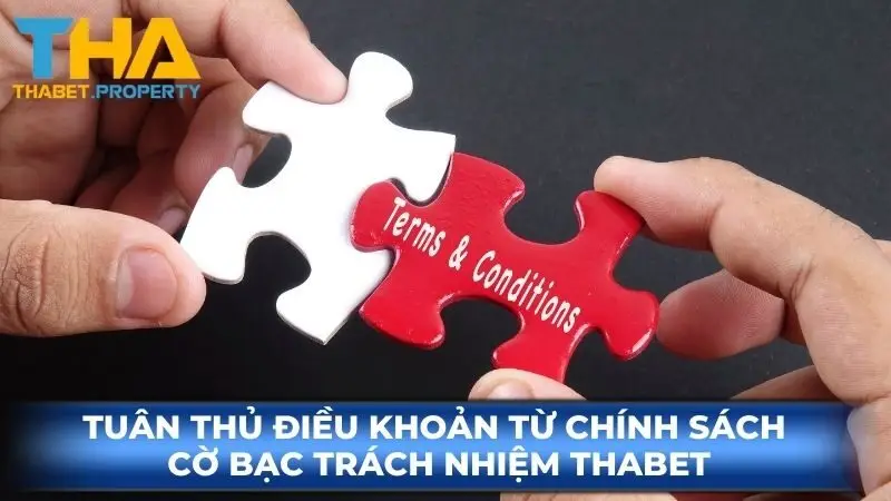 Tuân thủ điều khoản từ chính sách cờ bạc trách nhiệm Thabet